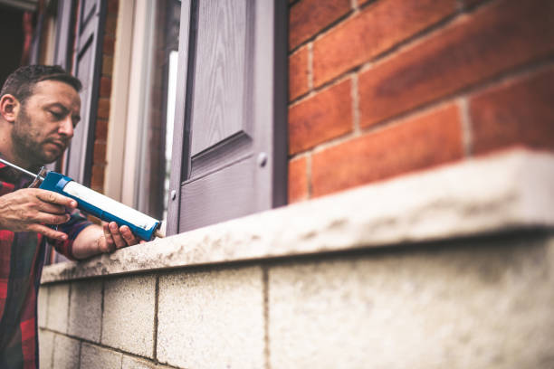 Best Local Insulation Services  in Royal Oak, MI