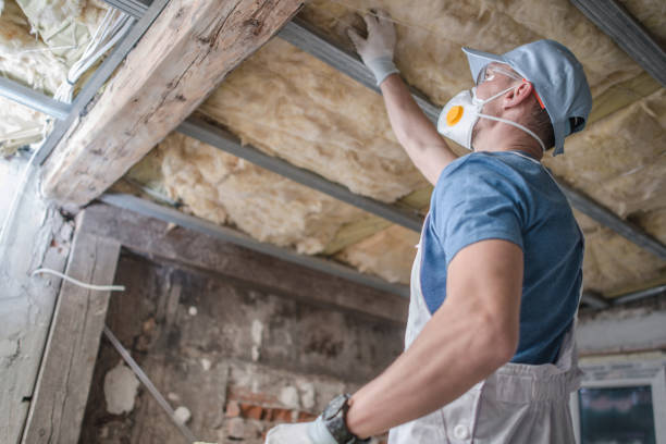  Royal Oak, MI Insulation Contractor Pros