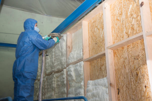 Best Insulation Removal  in Royal Oak, MI